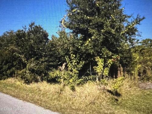 1669 Whiting Street SE, Palm Bay, FL 32909