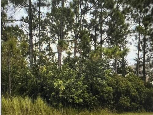 3142 Wessel Avenue SE, Palm Bay, FL 32909