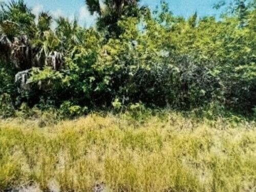 571 Fondulac Street SW, Palm Bay, FL 32908