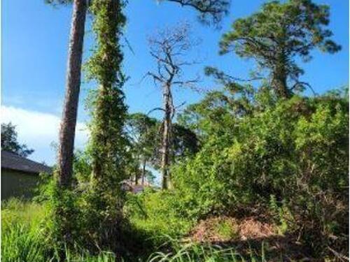 131 Knight Street SE, Palm Bay, FL 32909