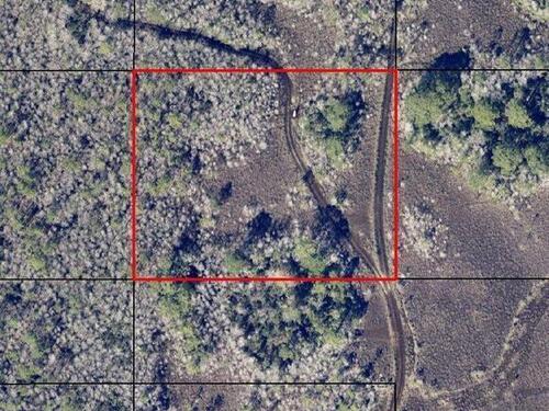 West Of Berry (No Access) Road, Grant, FL 32949