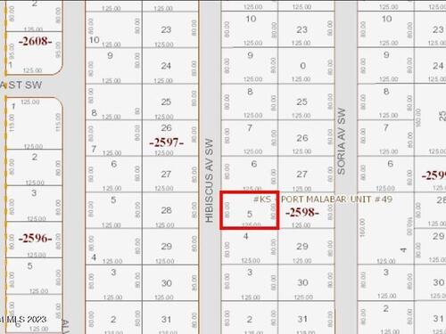 2171 Hibiscus Avenue SW, Palm Bay, FL 32908