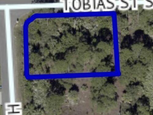 Hagdom Avenue SE, Palm Bay, FL 32909