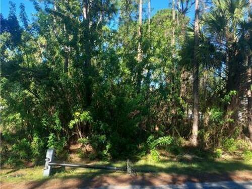 1365 Gimlet Street NW, Palm Bay, FL 32907