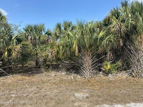 3321 Mockingbird Avenue SW, Palm Bay, FL 32908