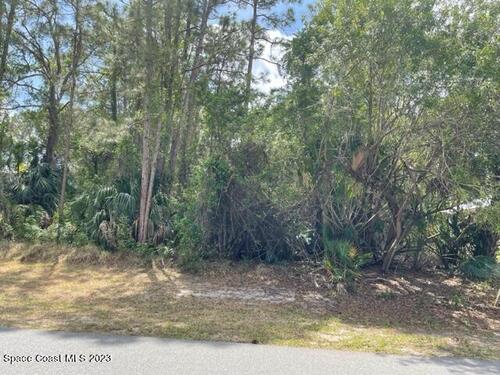 1982 Red Bud Circle NW, Palm Bay, FL 32907