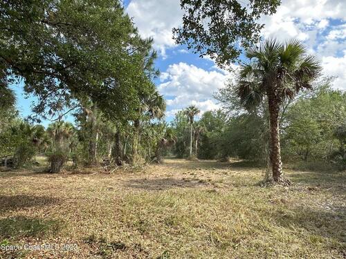 Soggy Bottom Avenue, West Cocoa, FL 32926