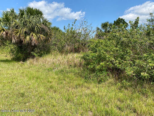 787 Parrotfish Street SW, Palm Bay, FL 32908