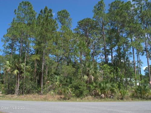 565 Oleander Lane NW, Palm Bay, FL 32907