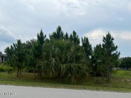 338 Olsen Street SW, Palm Bay, FL 32908