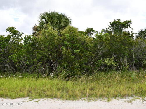 00 Moss Ter. & Nighthawk Ave Sw, Palm Bay, FL 32908