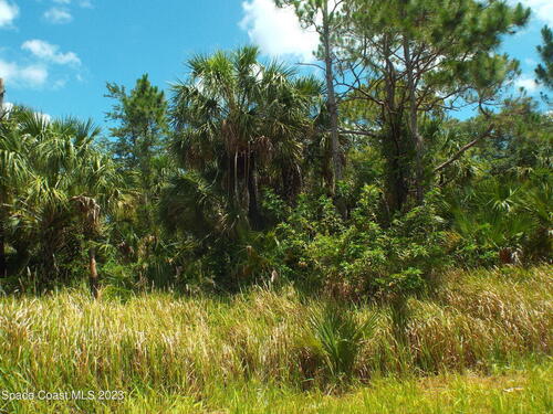 527 Scarsdale Street SW, Palm Bay, FL 32908