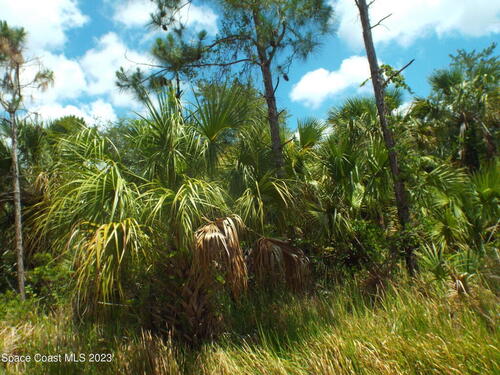 515 Scarsdale Street SW, Palm Bay, FL 32908