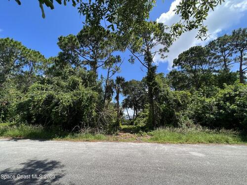 339 Pipit Street NE, Palm Bay, FL 32907