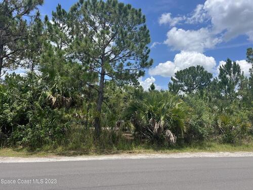 3195 Fitzpatrick Avenue SW, Palm Bay, FL 32908