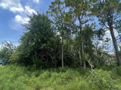 1258 Coral Reef Avenue NW, Palm Bay, FL 32907