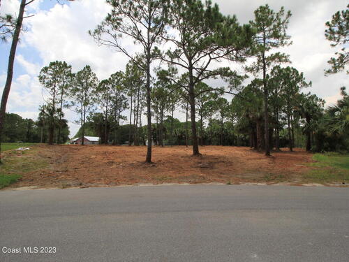 2602 Flintstone Avenue SE, Palm Bay, FL 32909