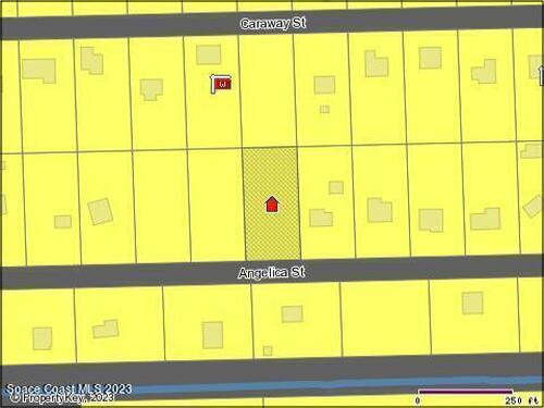 Angelica Street, Cocoa, FL 32926