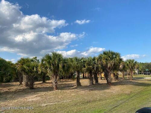 Tbd Farley And St Andre (Corner) Boulevard, Palm Bay, FL 32908