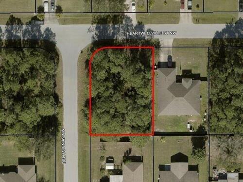 1694 Heartwellville Street NW, Palm Bay, FL 32907