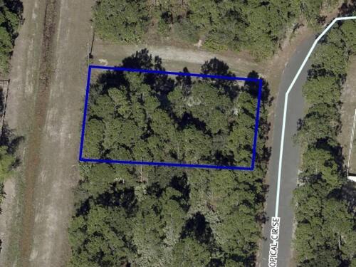 3049 Tropical Circle SE, Palm Bay, FL 32909