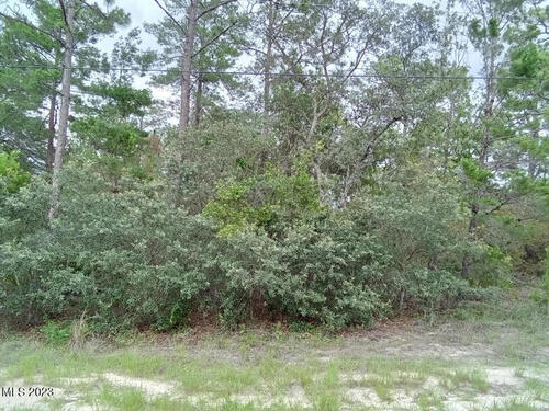 299 Charlotta Avenue SE, Palm Bay, FL 32909