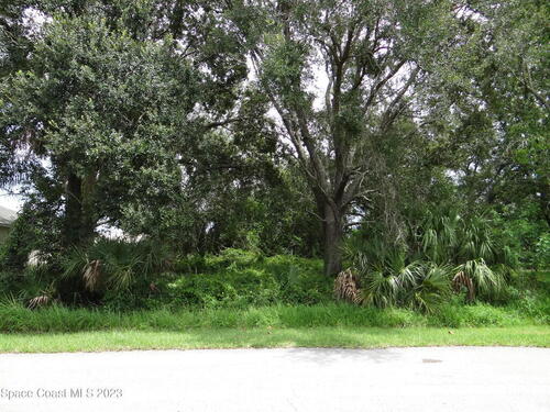 459 Kodiac Avenue SE, Palm Bay, FL 32909