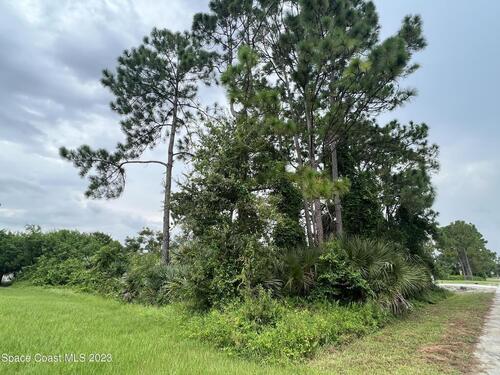 338 Comet Avenue SE, Palm Bay, FL 32909