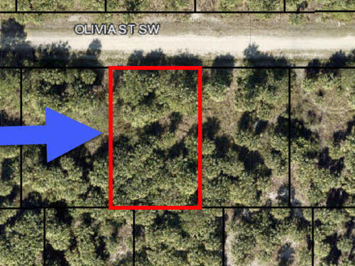 860 Olivia Street, Palm Bay, FL 32908