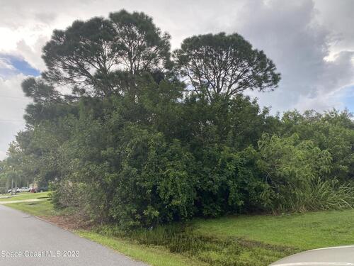 2335 Mantilla Avenue SE, Palm Bay, FL 32909