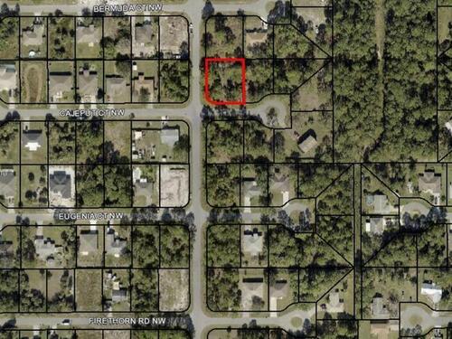 Cajeput Court NW, Palm Bay, FL 32907
