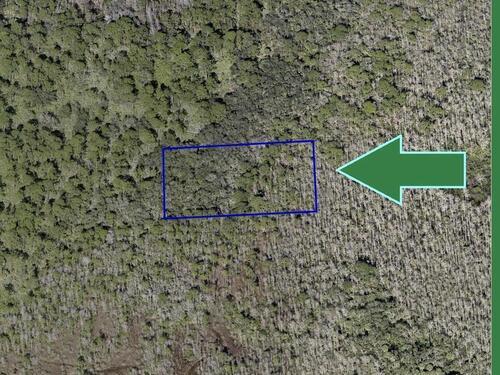 00000 No Access North Of Grant Road, Grant, FL 32949