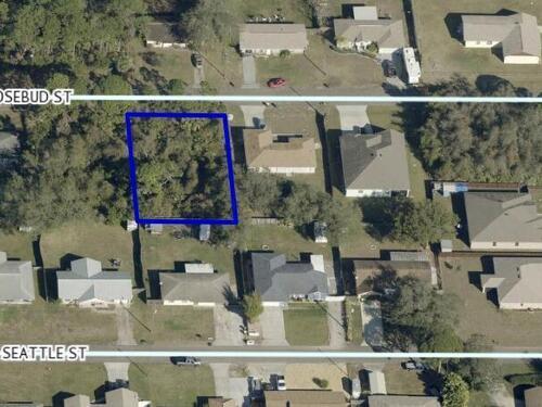 4545 Rosebud Street, Cocoa, FL 32927
