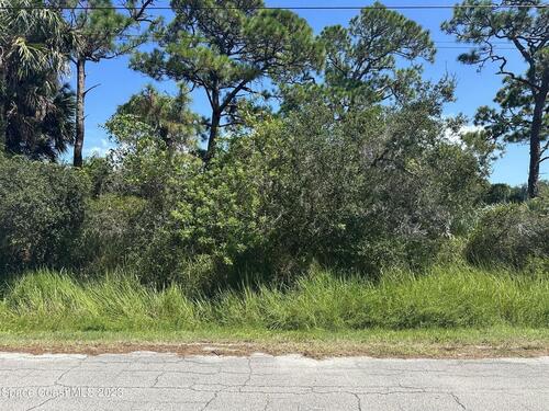 Las Pamos Drive, Grant, FL 32949