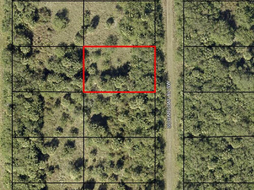 1660 Sugarloaf Avenue SW, Palm Bay, FL 32908