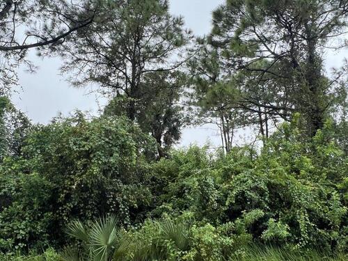 708 Pinta Terrace SW, Palm Bay, FL 32908