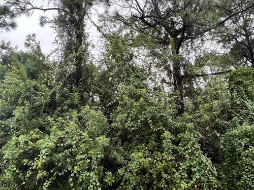 789 Pinta Terrace SW, Palm Bay, FL 32908