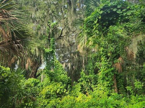 0000 Unknown Avenue, Titusville, FL 32796