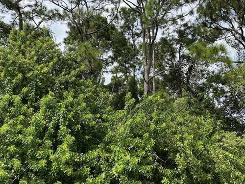 119 Gates Street SW, Palm Bay, FL 32908