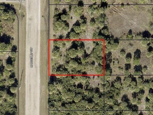 2951 Madden Avenue SW, Palm Bay, FL 32908