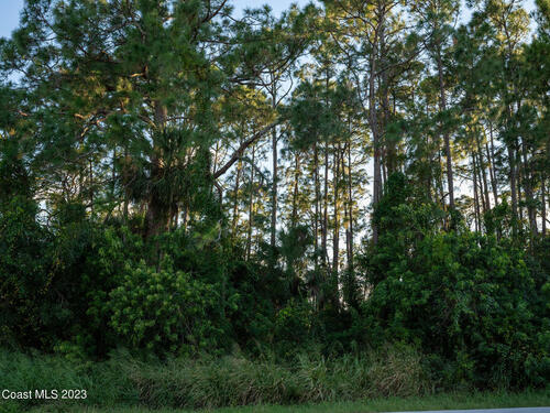 1282 Hegira Street NW, Palm Bay, FL 32907