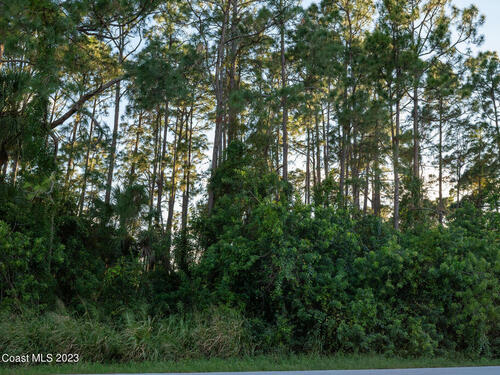 1296 Hegira Street NW, Palm Bay, FL 32907