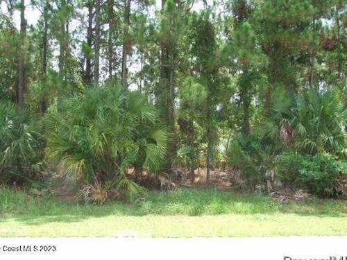 209 Deeyan Avenue NW, Palm Bay, FL 32907