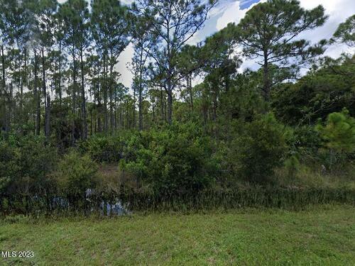 4030 Edisto Drive, Grant, FL 32949