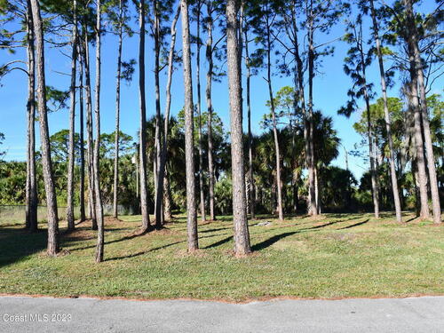 420 Seal Avenue SW, Palm Bay, FL 32908