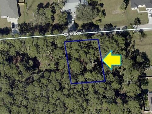 776 Hainey Street SW, Palm Bay, FL 32908