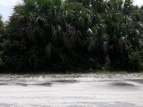 3159 Sage Avenue SW, Palm Bay, FL 32908